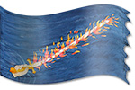 Hand painted silk: Espada del Señor Diseño